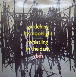 Whistling In The Dark