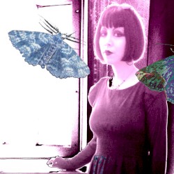 Pastizal de Polillas Insomnes