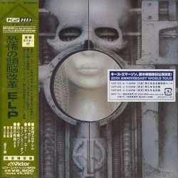Brain Salad Surgery