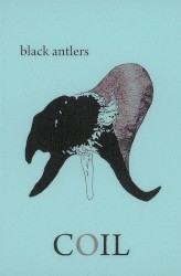 Black Antlers
