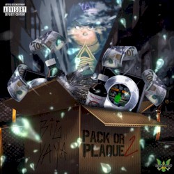 Pack or Plaque 2