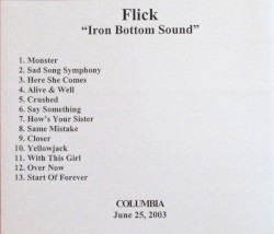 Iron Bottom Sound