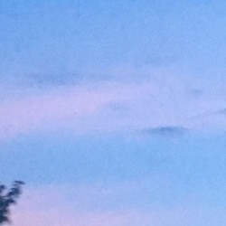 15-Audio 0001 [2024-08-14 172113]