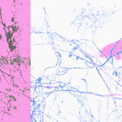 J’aeae cràiserais j’squa je n’aïe pluxe d’e vie,.,., perssonage n’ex sembleple s’enne préonccuxperale