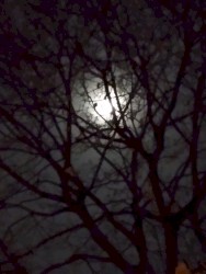 Starless Nights / Gone