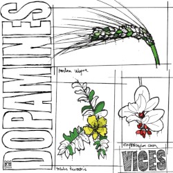 Vices