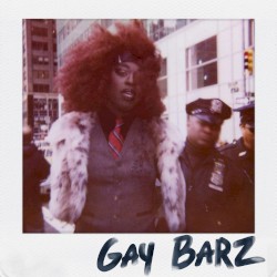 GAY BARZ