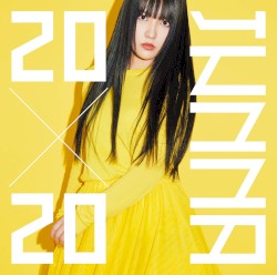 20×20