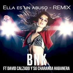 Ella es un abuso (remix)