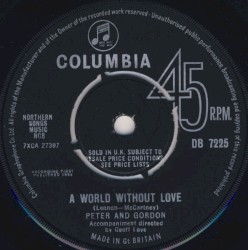 A World Without Love