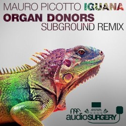 Iguana