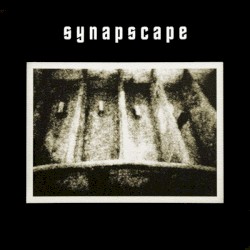 Synapscape