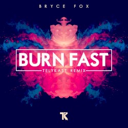 Burn Fast (TELYKast remix)