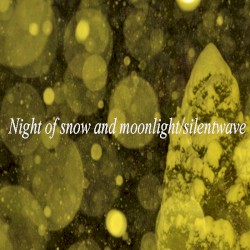 Night of snow and moonlight