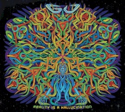Reality Is A Hallucination