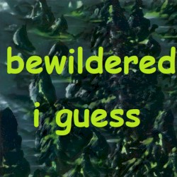 Bewildered I Guess