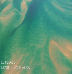 More Jungle Musik