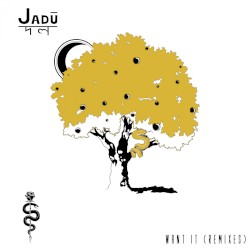 Want It (remixes)
