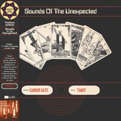 Tarot (Andy Bown Cover)