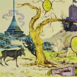 Five Years Inside the Sun