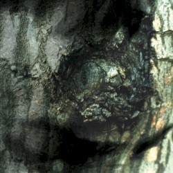 The Waltz of the Monsters