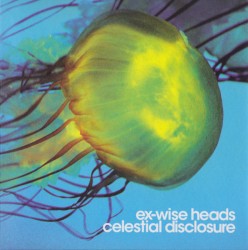 Celestial Disclosure