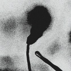 Cuddio Tu Ôl Y Llen