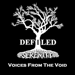 Voices From the Void