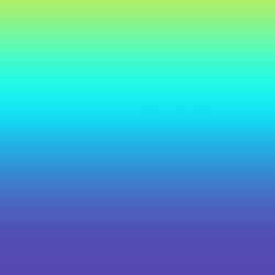 0029