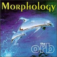 Morphology