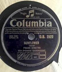 Sunflower / If You Stub Your Toe on the Moon