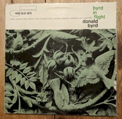 Byrd in Flight