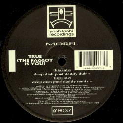 True (The Faggot Is You)