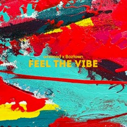 Feel The Vibe