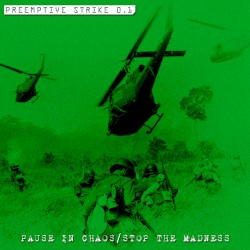 Pause in Chaos / Stop the Madness