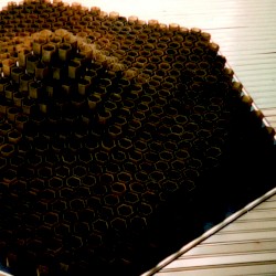 Cat of Shell, Vol. 1