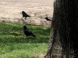 Memories-Revisit (Master)