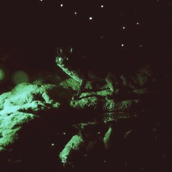 Reality Remixed, Volume 1