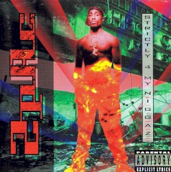 Strictly 4 My N.I.G.G.A.Z…