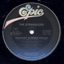 Midnight Summer Dream / Paradise