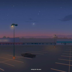 Looking for the Moon