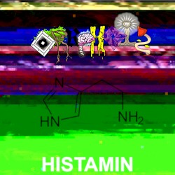 Histamin