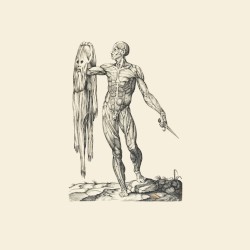 Observation of Breath