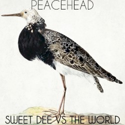Sweet Dee VS the World (single)