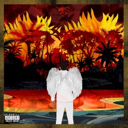 Fell In Love In Brasil