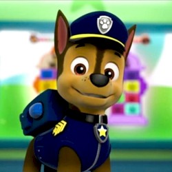 READY FOR ACTION RYDER SIR