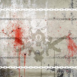 Gypsy Energy Moon Magic Wifi