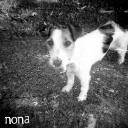 Nona / Crow Bait