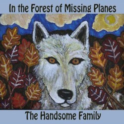 In the Forest of Missing Airplanes