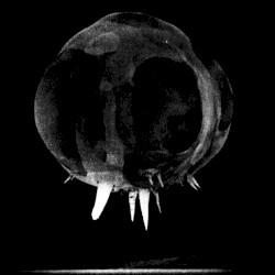 Operation Tumbler–Snapper